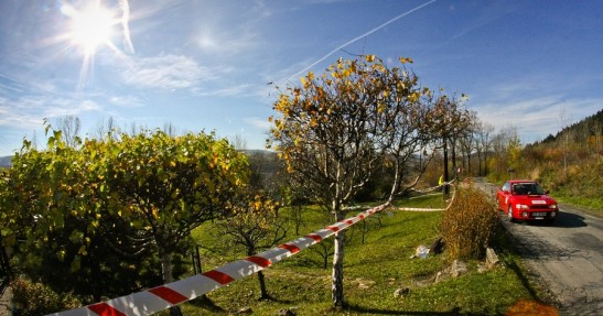 Rajd Żubrów 2013